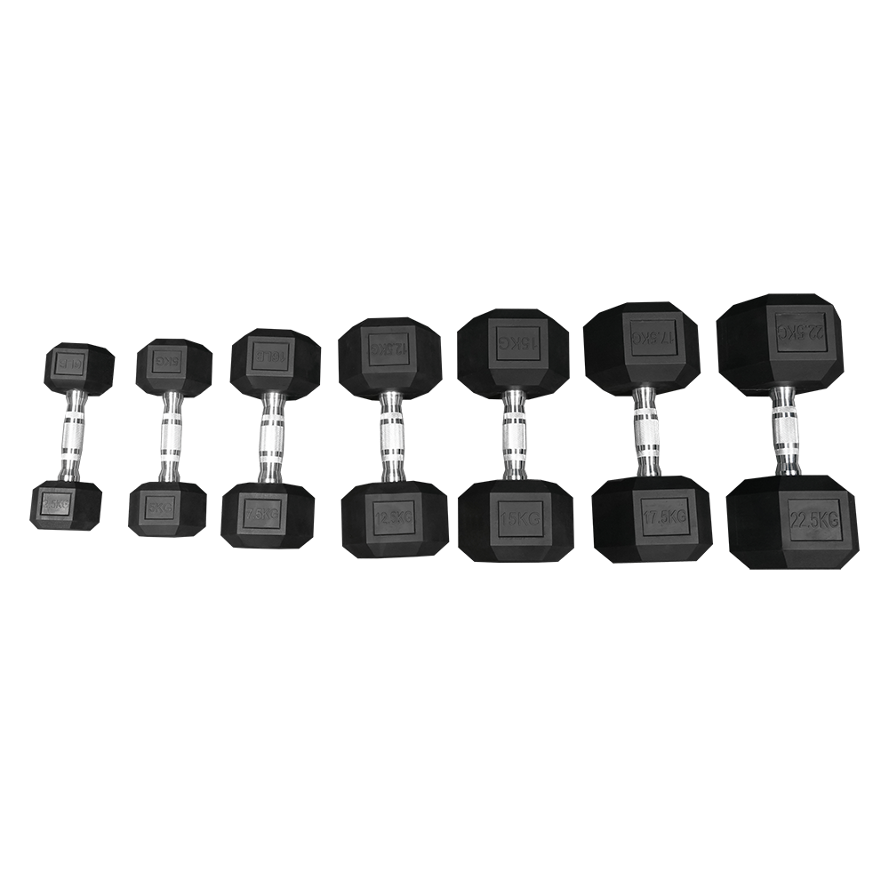 QLI HEXAGON DUMBBELL QDS016